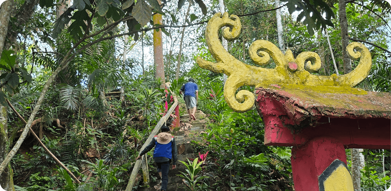 Bukit Rel — destinasi ekowisata swadaya di Pontianak Utara, jalur pendakian kawasan hutan